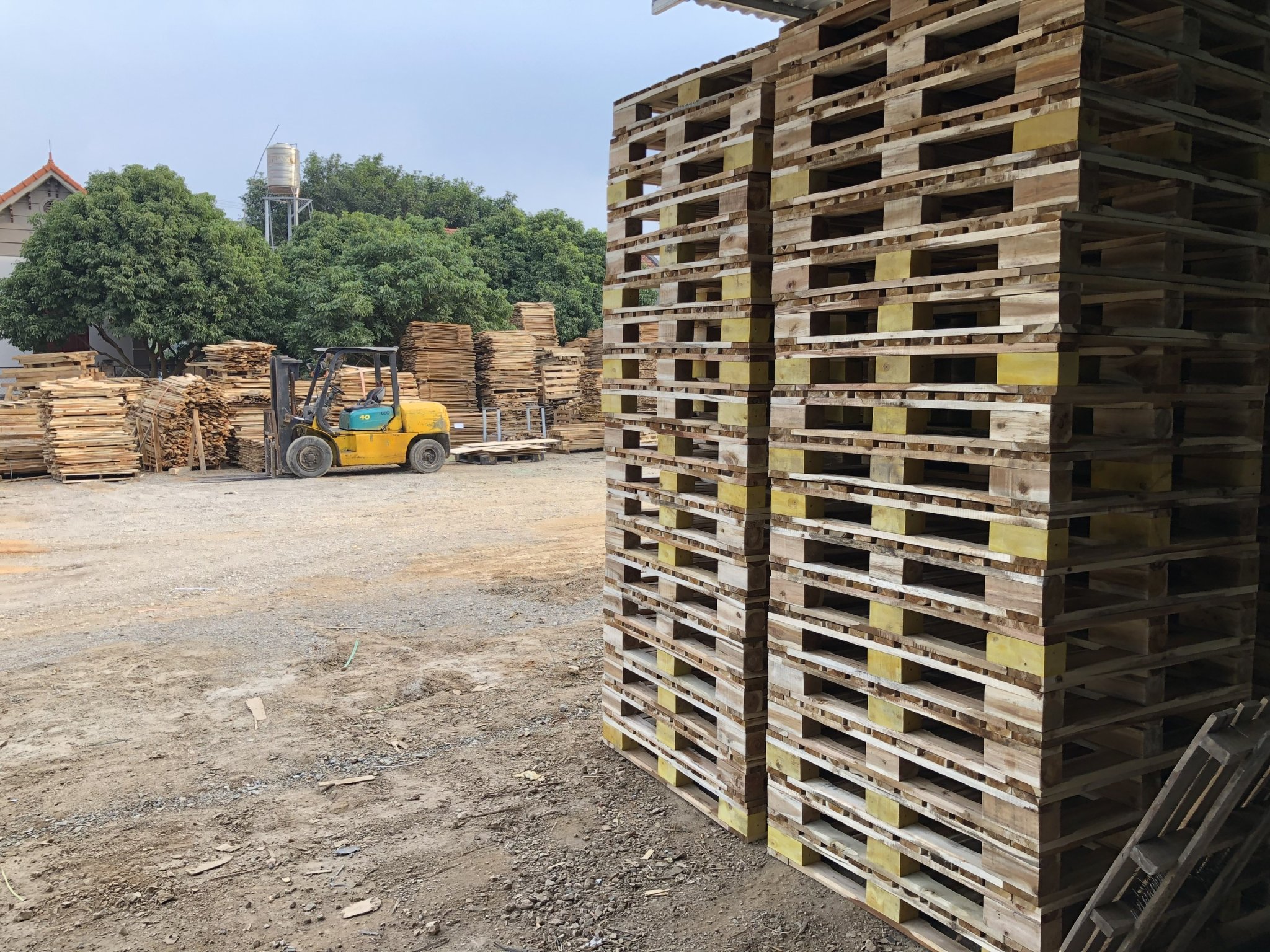 Pallet gỗ